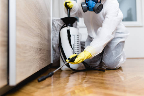 Best Termite Control Services  in Villisca, IA