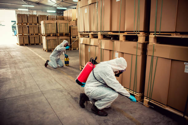 Best Best Pest Control Companies  in Villisca, IA