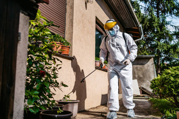 Best Local Pest Control Services  in Villisca, IA