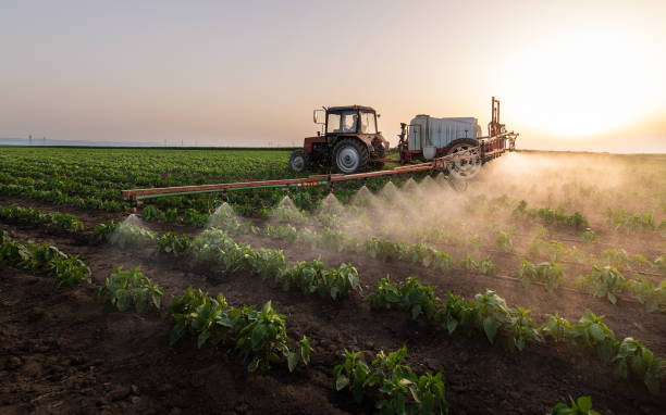 Trusted Villisca, IA Pest Control Experts