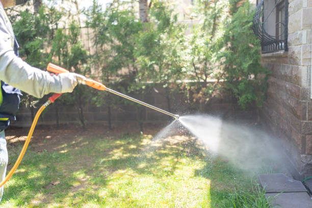 Best Best Pest Control Companies  in Villisca, IA