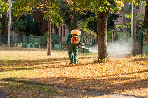 Best Commercial Pest Control Services  in Villisca, IA