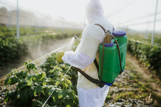 Best Pest Control for Businesses  in Villisca, IA